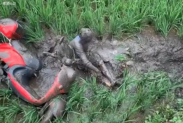 电动车|男子骑车掉进稻田被误以为奥特曼，网友忍俊不禁：又心疼又好笑