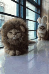 |开心一刻笑话 公司的财务是个大美女, 昨天给我转账时多了五块