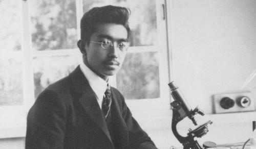 美智子|平民出身的美智子,为何能打破传统,成为日本第一位平民皇后