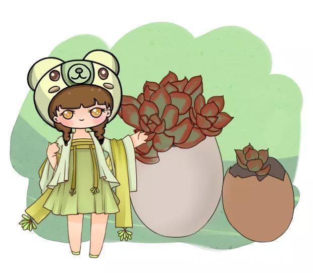 el多肉的花样养法,7种花盆全是自己造的,省钱又好用!