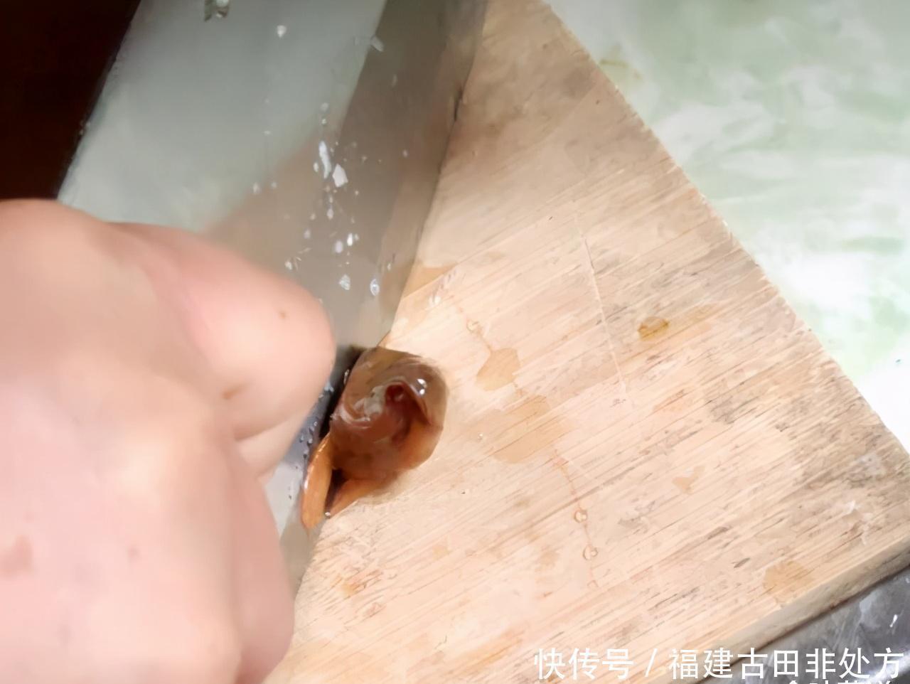 泥鳅要不要掏内脏?很多人搞不明白,为了家人的健康,不妨看一看