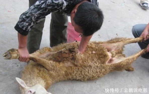 文物贩子手段有多残忍?把玉塞入活羊体中,3年后杀羊取玉卖天价