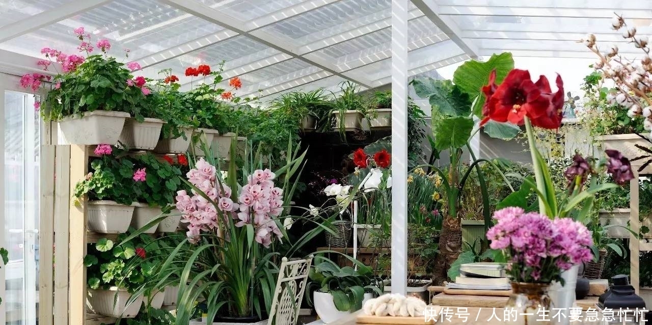 俗语:鲜花屋中放,花旺人不旺,有道理吗?为何房间里不能种花?