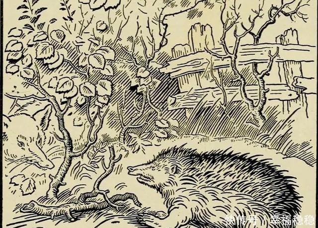 国王|8个童话故事,和鲜为人知的“恐怖”版本