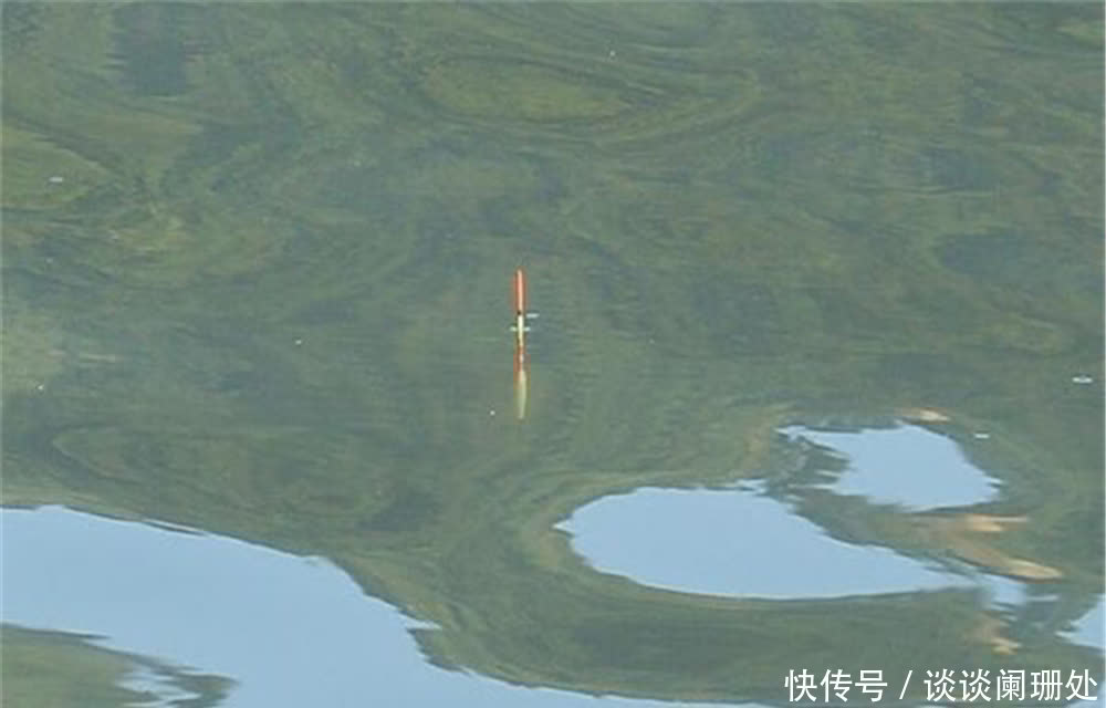 钓鱼调漂技巧:调漂的灵与钝,得与失,矛与盾,看懂了浮漂随便调