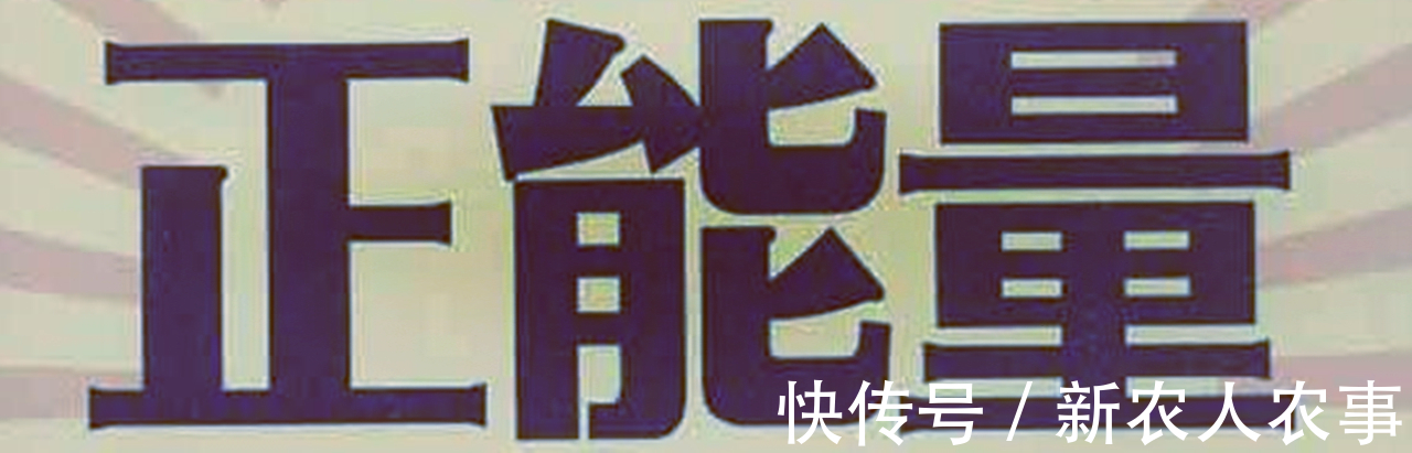 垫脚石|山东一小男孩火了,动作麻利地帮大人干农活,父母却欣慰又心疼
