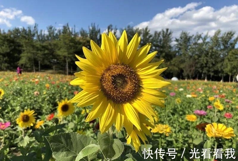 李嘉诚的“年夜饭”曝光！一顿饭，看出一个家庭的教养丨可读