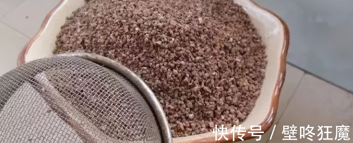 给君子兰换盆土垫上这些东西,3年内肉质根再不会因积水而腐烂了