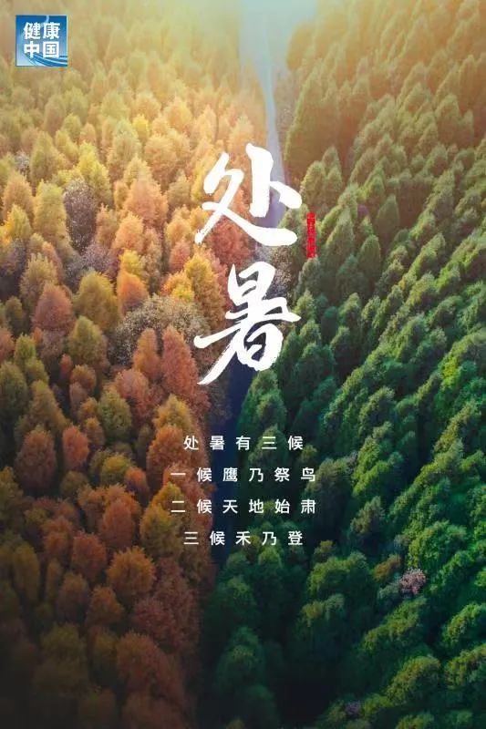 世事|【我为群众办实事】公众健康素养大提升｜今日处暑，暑热止，防秋燥。万物俱可喜，世事皆顺遂！