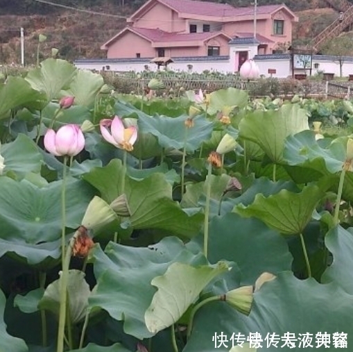 前程|未来10天,扭转乾坤,鸿运当头,冲破困境,前程似锦