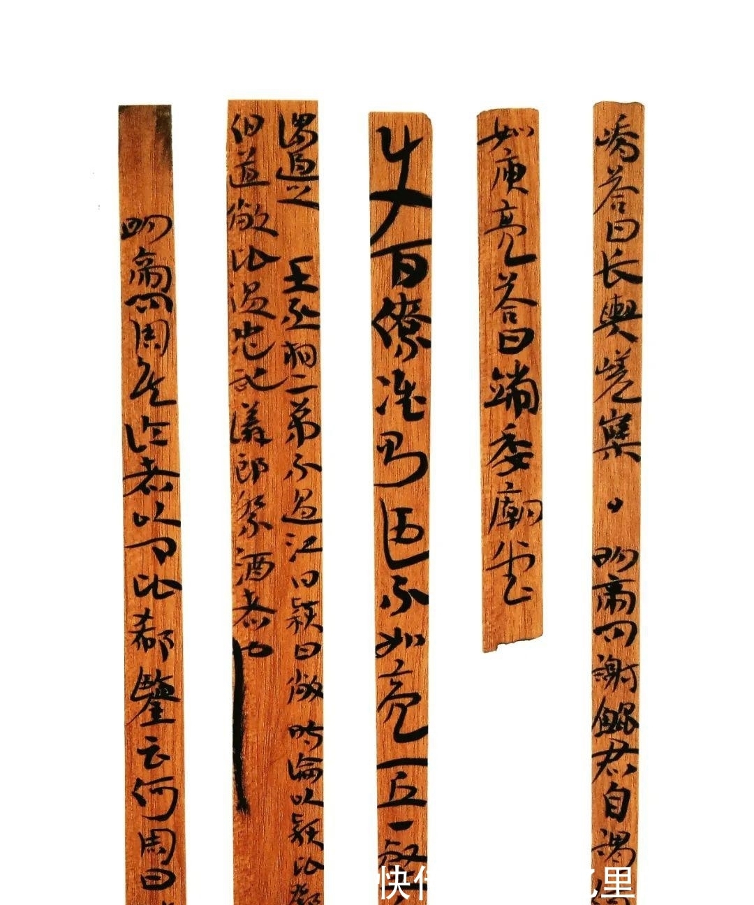 简草@张升入国展经验:取法上避开主流,选择相对较早的秦隶、简草