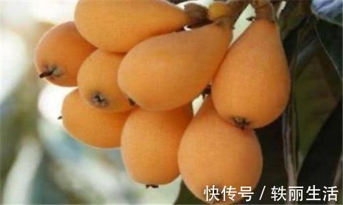 维生素b|人到中年要会吃,推荐3种食物,排毒清肠,延缓衰老,增强体质