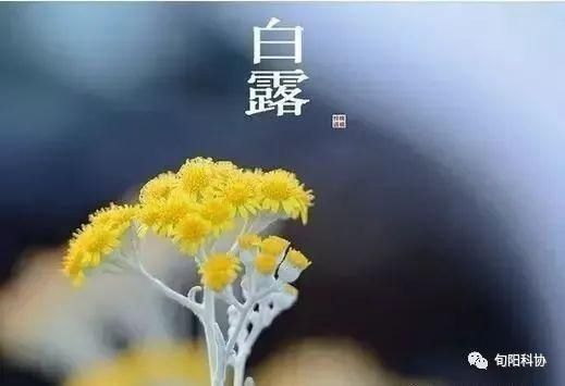 白露|科学养生：进入白露后养生小常识