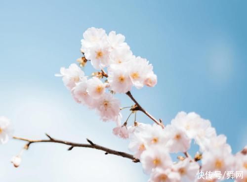 妻子|7月底，霉运散去，好运代替，左右逢源，3生肖忙着数钱