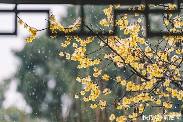 北京|各高校寒假时间公布:最长超70天，而这些学校连30天都不到