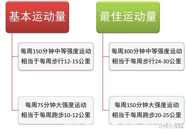 健康收益|世界卫生组织发布最新指南首度提出最佳运动量标准你达标了吗