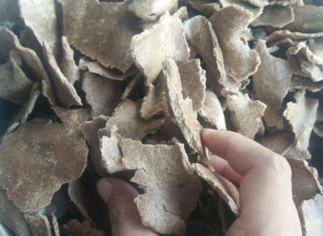 土壤不肥沃“1块它”扔盆里,养分足,6个月不施肥,反而爆盆