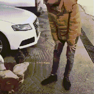 阿姨|“健身房阿姨的手臂都快45了...”