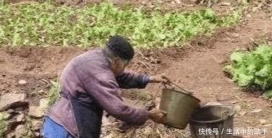 花椒+红糖太厉害了,腰腿不痛不麻了,坐骨痛也拜拜了!