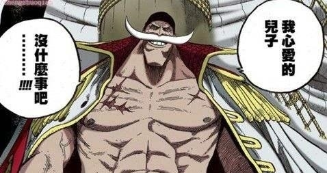 恶魔果实|海贼王:最强的五位非能力者,实力不惧白胡子,两位是白胡子宿敌