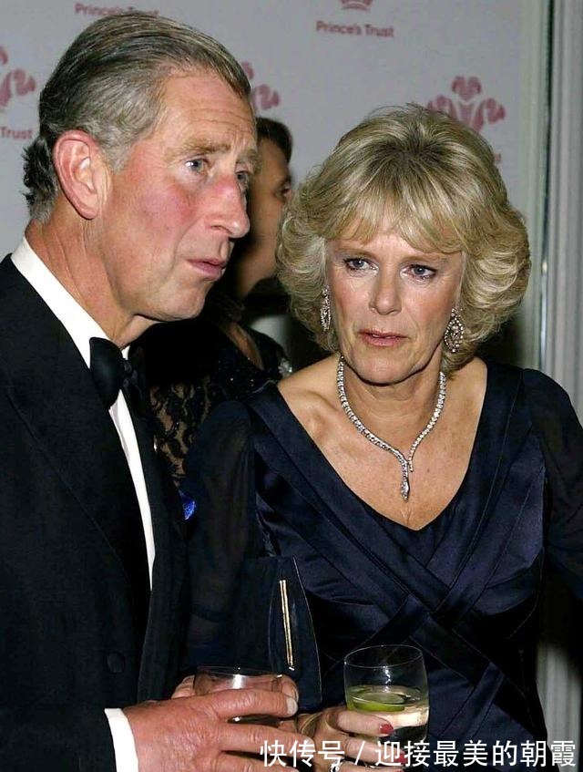 蛇形项链 卡米拉的蛇形项链20年前做情人时查尔斯送的,蛇蝎气质一目了然