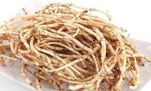 美味|多吃1种食物,消炎杀菌,不仅美味价格也便宜