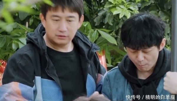黄磊 张艺兴是《向往》中,唯一不敢喝特仑苏的人,喝一口就要赔钱
