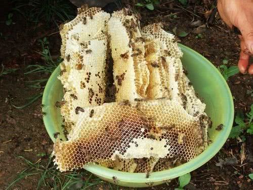 补充营养|人到中年想长寿，4种食物离不开，补充营养，滋阴养肾，早吃早好