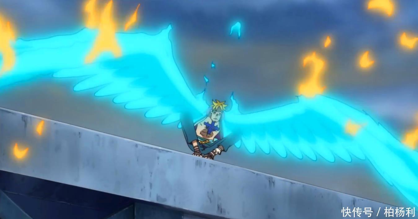 实力方面|海贼王都说是副皇职位,只不过虚有其表,船长一倒下,只有散伙!