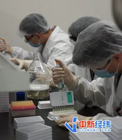 探访新冠灭活疫苗生产车间：生产线24小时不停歇 年产量将超6亿剂