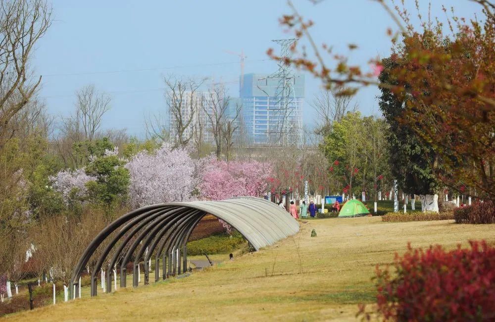 漫步春光里 遂宁 · 时光花境 春色如许