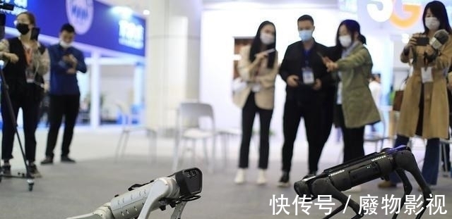 本科|读研后想主攻人工智能方向,本科该选择数学专业还是计算机专业