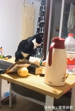 |搞笑GFI:这一看就是小情侣,要是老夫老妻的,男子早就怒了