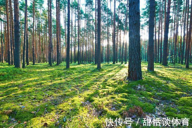 北宋|一首很有哲理的宋诗，每一句都有大智慧，告诉了世人很多的大道理