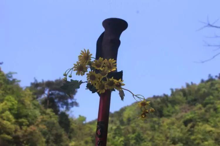 膝盖|关于登山杖，你用对了么？