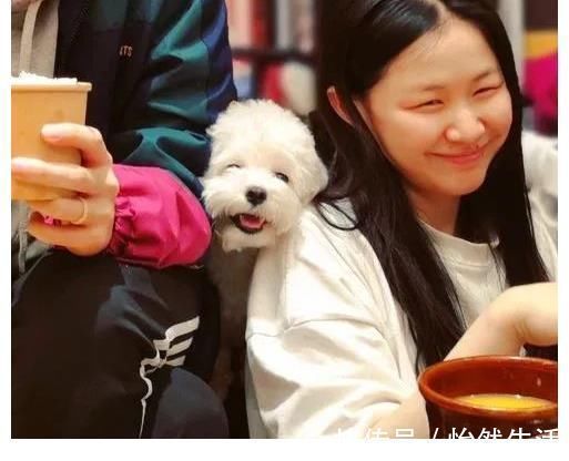 李佳琦|李佳琦金婧BE了?女方男友被扒出,十分有才是动画《不良人》编导