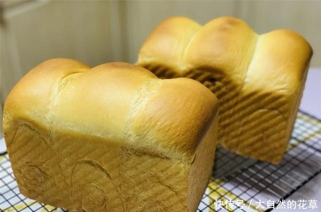 简单而朴素的做法,味道却不普通,最适合新手的烘焙入门面包