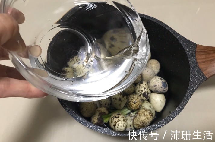 五香鹌鹑蛋|不吃肉也要吃它，1个胜过6个鸡蛋，孩子多吃眼睛明亮，头脑灵活