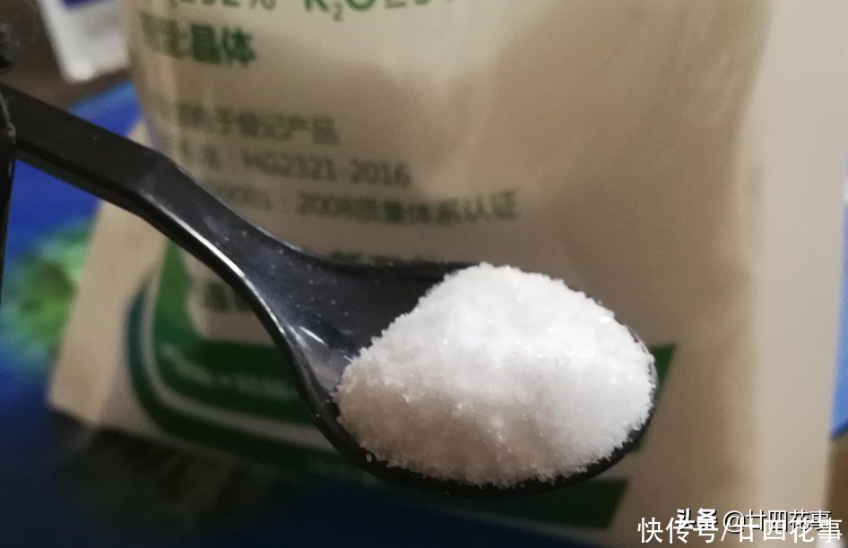 磷酸二氢钾，是养花“双刃剑”，用好了花多色艳，用不好伤害植株