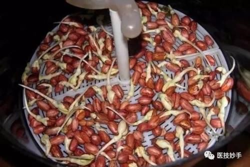 黄豆|发芽的蔬菜能不能吃?这4种蔬菜发芽后不仅没毒,反而营养更足