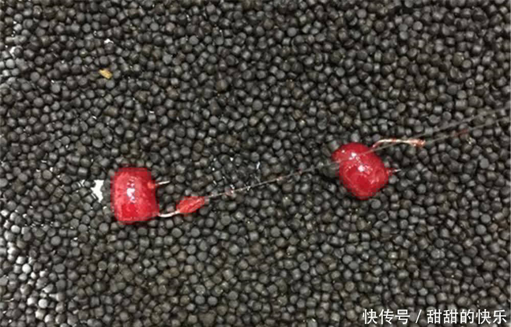 野钓大鲫鱼,遇上小鱼疯狂闹钩,可以试试这种钓法,适合小中取大