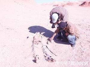 夏启&罗布泊发现大量干尸，鉴定结果与山海经吻合，难道记载是真的?