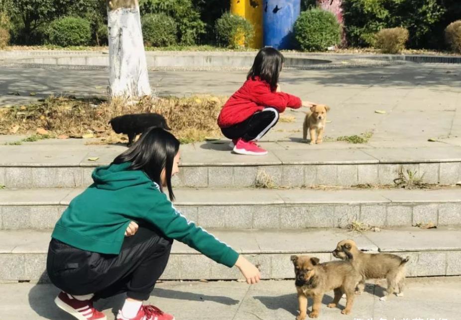 小女孩|6岁女孩突然“秃头”,奶奶以为是鬼剃头,医生怒斥无知