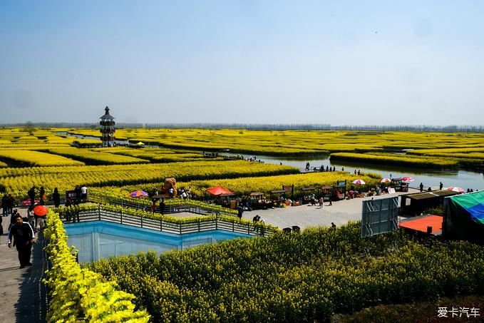 中年|春暖花开游江南-千垛景区水上森林之旅