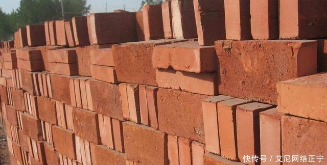 营养土还在花钱买?几种东西“掺一点”,土壤“肥得流油”!