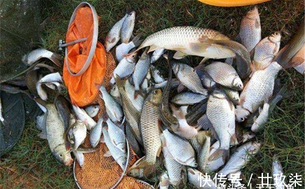 冬季钓鲫鱼,浮漂的选用原则,吃铅不是越小越好,漂尾越细越好!