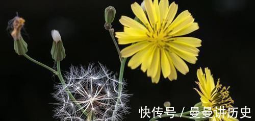 甲状腺|甲状腺有结节，常备“天然散结水”，女人越舍得喝，结节越易变小