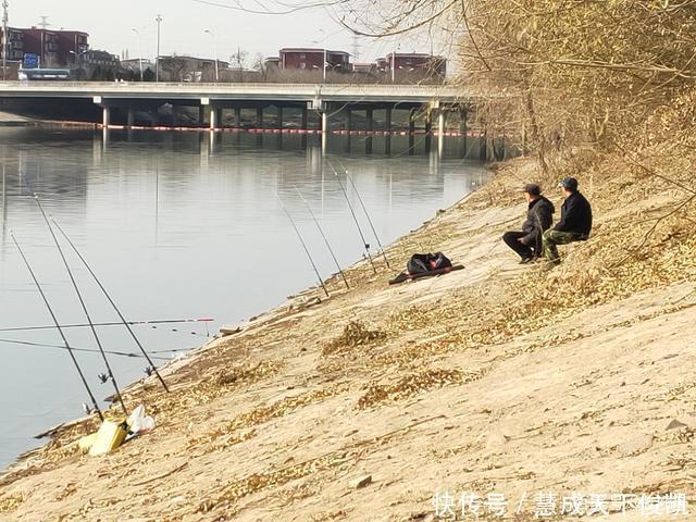  小时|冬季钓浅水，要求相对苛刻！然则条件一旦符合，可连竿上鱼两小时