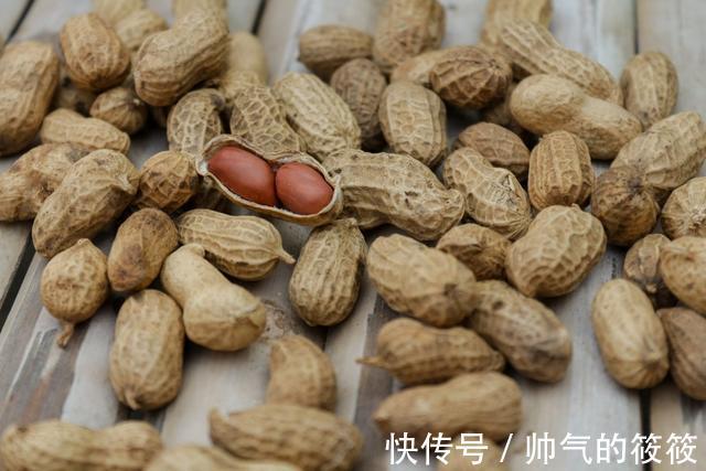 播种花生到底带壳还是不带壳二者哪个更好呢一起来看看