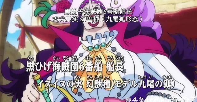 形态|海贼王:动物系果实的分支有多复杂?龙龙果实已经出现八种形态